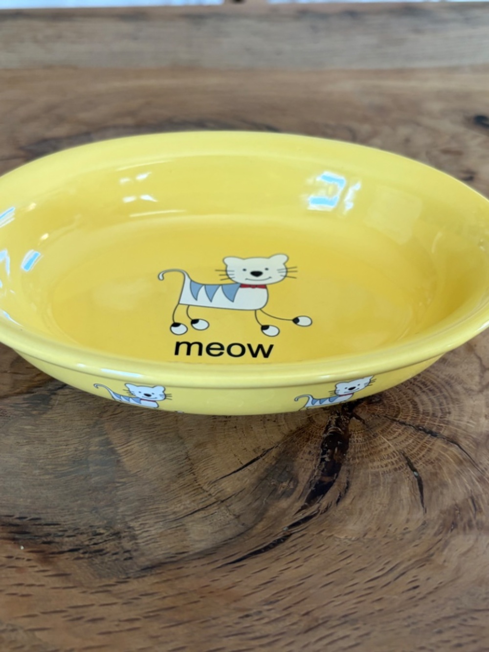 🐱 Whisker City Yellow “Meow” Cat Bowl | Sunny Y2K Kawaii Ceramic Pet Dish 💛